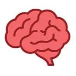 Brain simulator