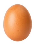 the egg fan club