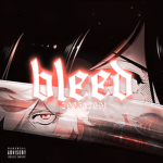 〆 bleed
