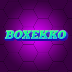 Project BoxEkko