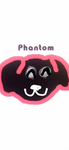 Phantom dawg