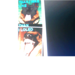 The Super Dog Lovers