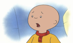 Caillou Pooks