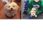 Tuck and Toby Forever!!