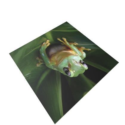Spawnlocation frog:)