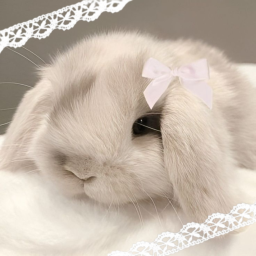 ⋆˚✿˖°