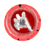 (NRPG) (OC) Kirai