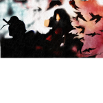 project:shinobi