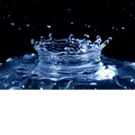 SPLASH_Clan