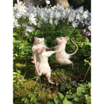 ratsAreThebEstNOTgonnALie