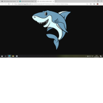 xShark Squadx