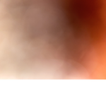 Freeribux eduddhddssbbcc cnsnc c
