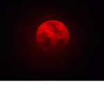 Demon Slayer: The Bloody Moon