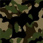 The U.S ARMY SOLDIERS