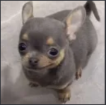 benja21321