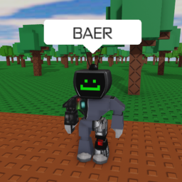 Baer icon