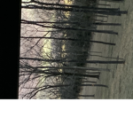 darklands of fun land