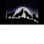 ~Wolfy And Friends