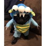 Roblox Pug Group