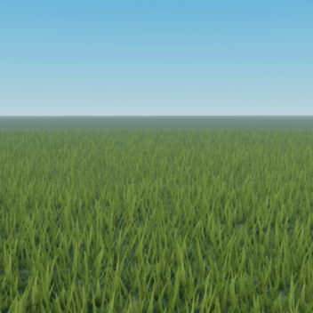 Flat Terrain