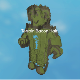 Terrain Bacon Hair