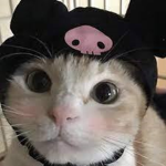 dont bully me