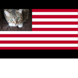 Egycat