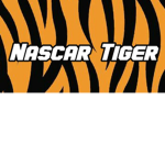 Tiger Roblox Racing League