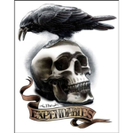 Expendabies