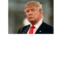 Donald Trump Obby icon