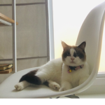 Not_arga Fan Group!!!!!!