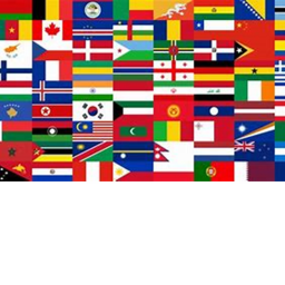 FLAG SIMULATOR