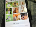 Cute doggies!We love them!