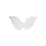 dream angeI