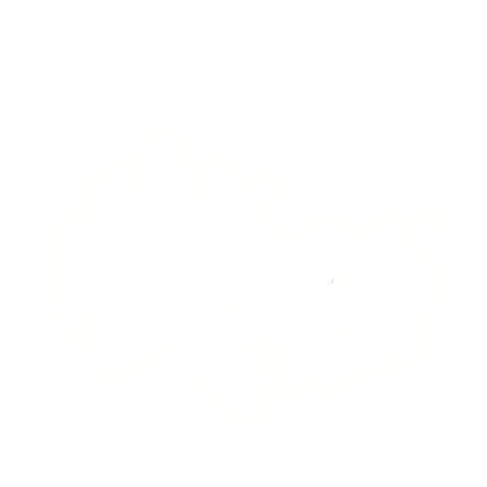 [⏳] White Angel Star Crown (Glowing)