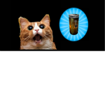 The Cola Kitten Fan Club