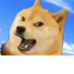 Doges town