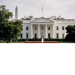 White house