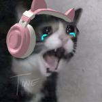TenaPaii
