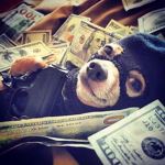 Dog Roober Cult
