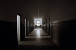 Eliza’s Insane Asylum