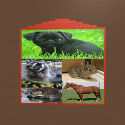 Be a pet or get a house and raise them [ Horses! ] icon