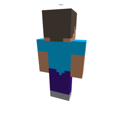 Steve Rig
