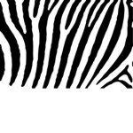 Zebra_Potatoes