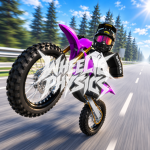 Wheelie Physics