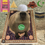 halal capybaras