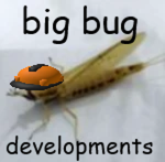big bug Developments