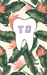 Tropical island dentist