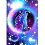Animal Sweet Animal
