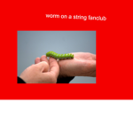 Worm on a String Fanclub